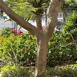 Boutique Penthouse Sea View * Los Cristianos (Tenerife)