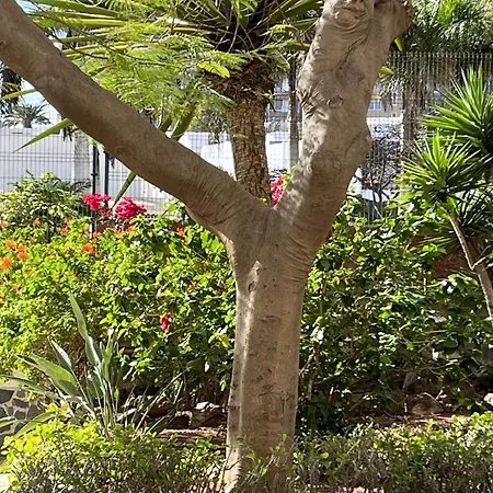 Boutique Penthouse Sea View * לוס כריסטיאנוס